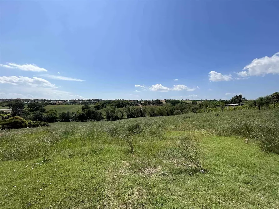Immagine 1 di Terreno edificabile in vendita  in Contrada Renacci a Appignano
