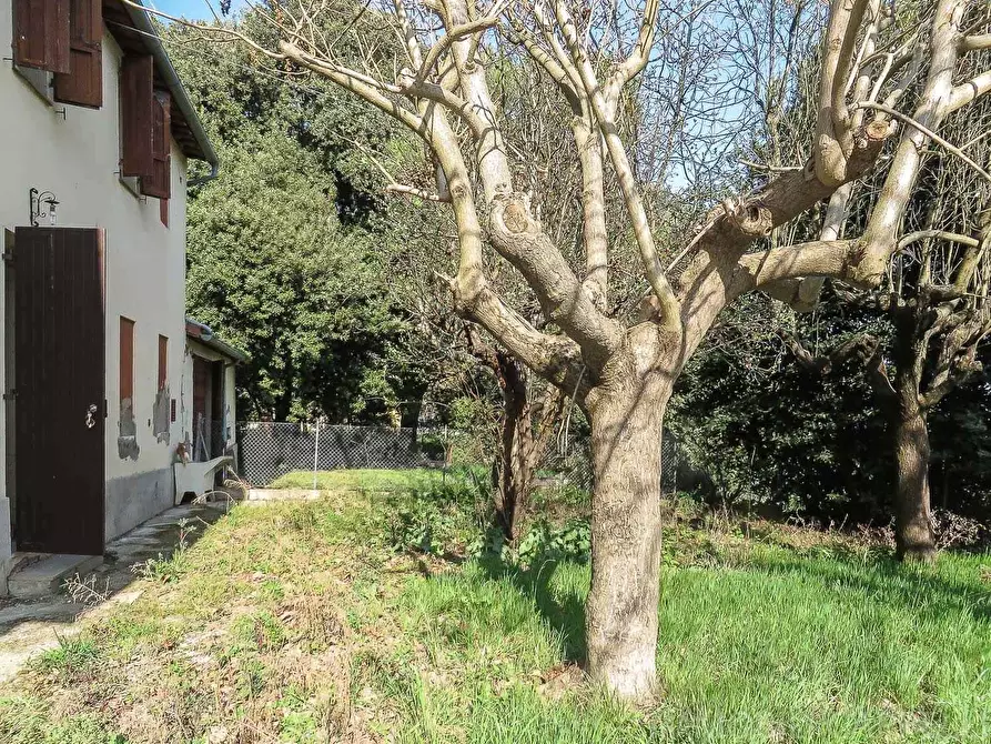 Immagine 1 di Casa indipendente in vendita  a Bertinoro