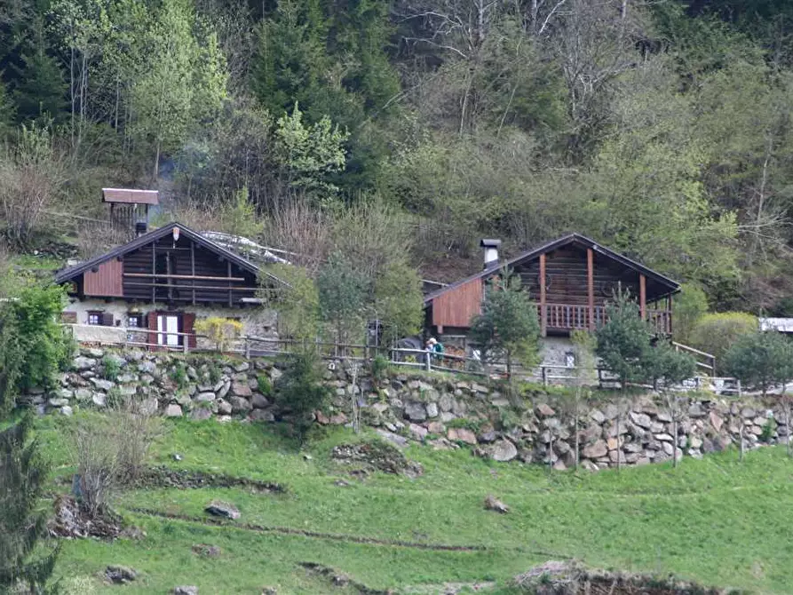 Immagine 1 di Abitazione tipica in vendita  a Primiero San Martino Di Castrozza