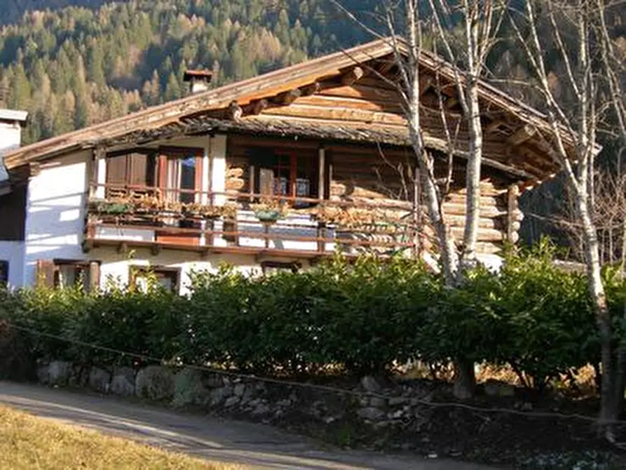 Immagine 1 di Casa indipendente in affitto  a Primiero San Martino Di Castrozza