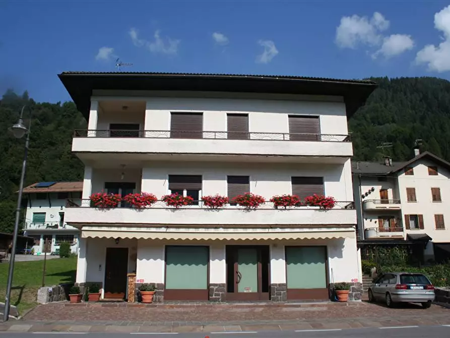 Immagine 1 di Negozio in affitto  a Primiero San Martino Di Castrozza