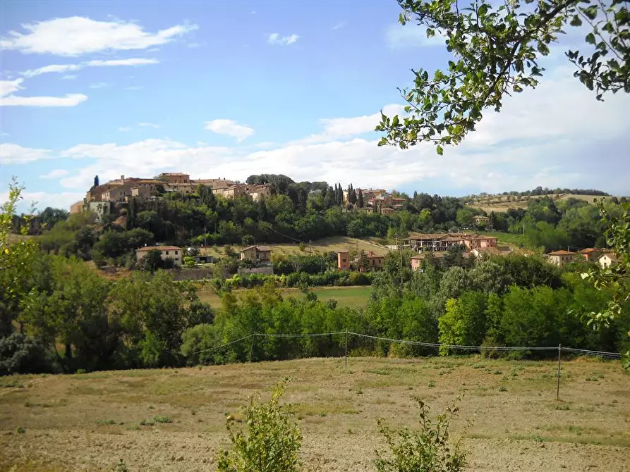 Immagine 1 di Azienda agricola in vendita  a Montalcino