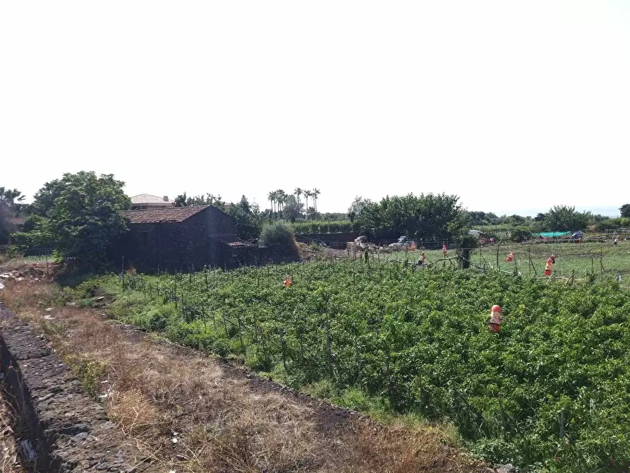Immagine 1 di Azienda agricola in vendita  in Via Gurne a Acireale