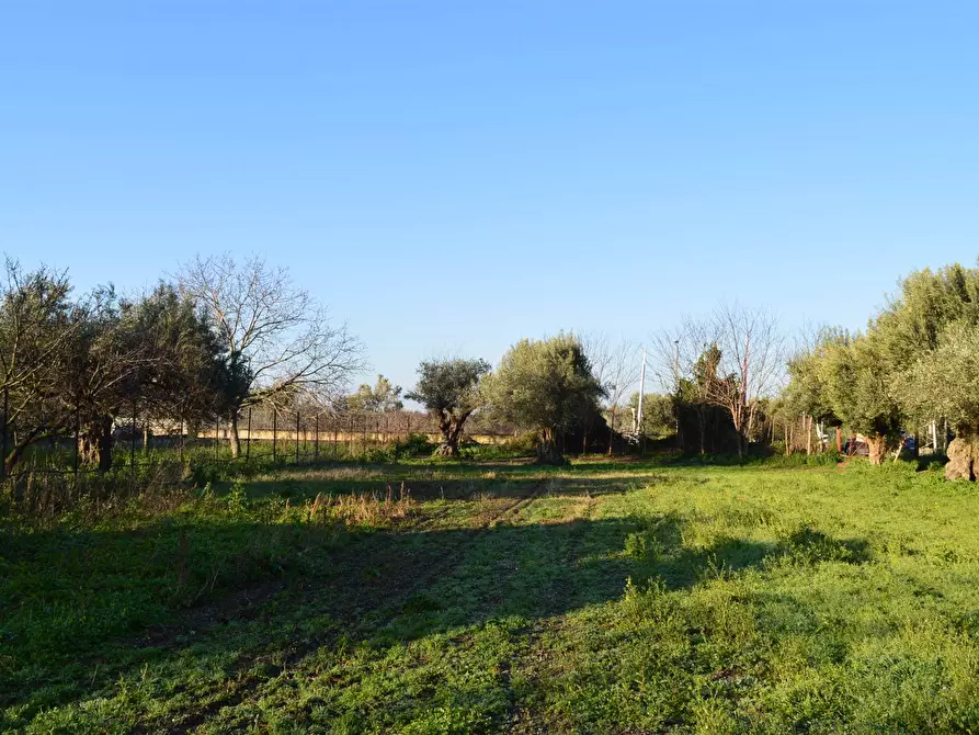Immagine 1 di Terreno edificabile in vendita  in via IV Novembre a Capua