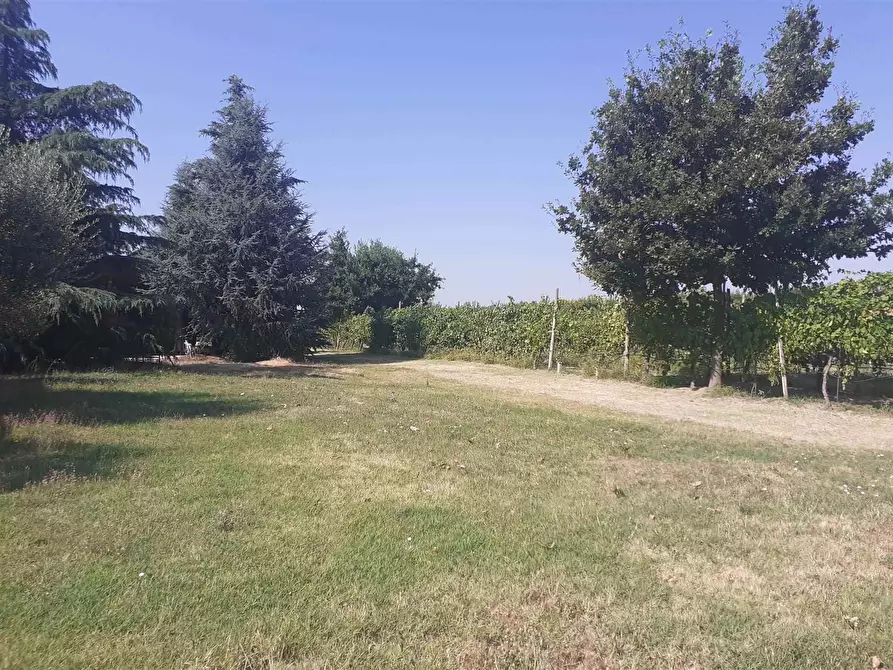 Immagine 1 di Terreno edificabile in vendita  a Castelfranco Emilia