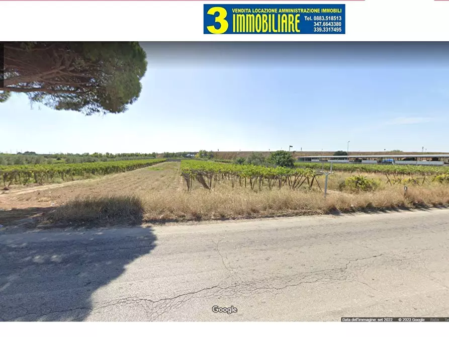 Immagine 1 di Terreno edificabile in vendita  in VIA FOGGIA a Barletta