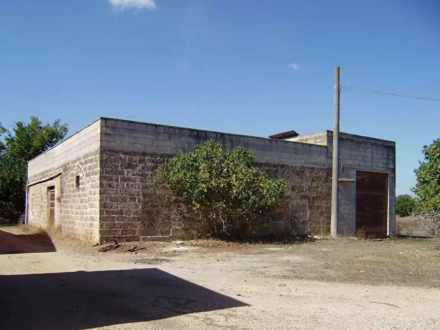 Immagine 1 di Azienda agricola in vendita  a Galatone