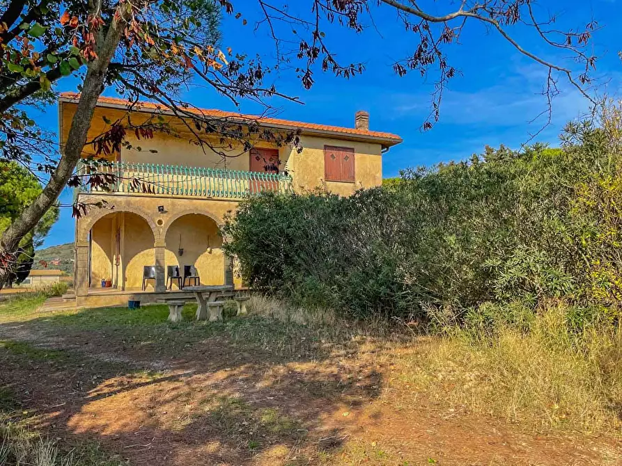 Immagine 1 di Villa in vendita  a Capalbio