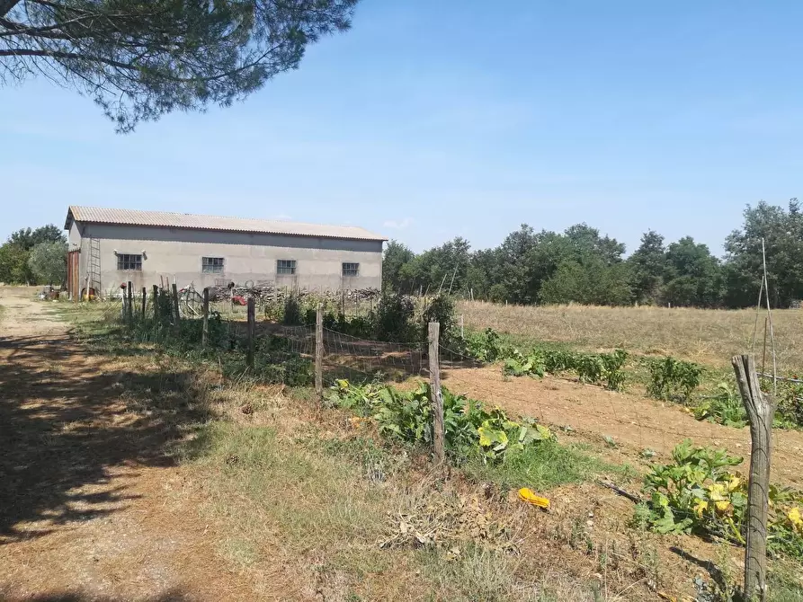 Immagine 1 di Azienda agricola in vendita  in Pian di Morrano a Pitigliano
