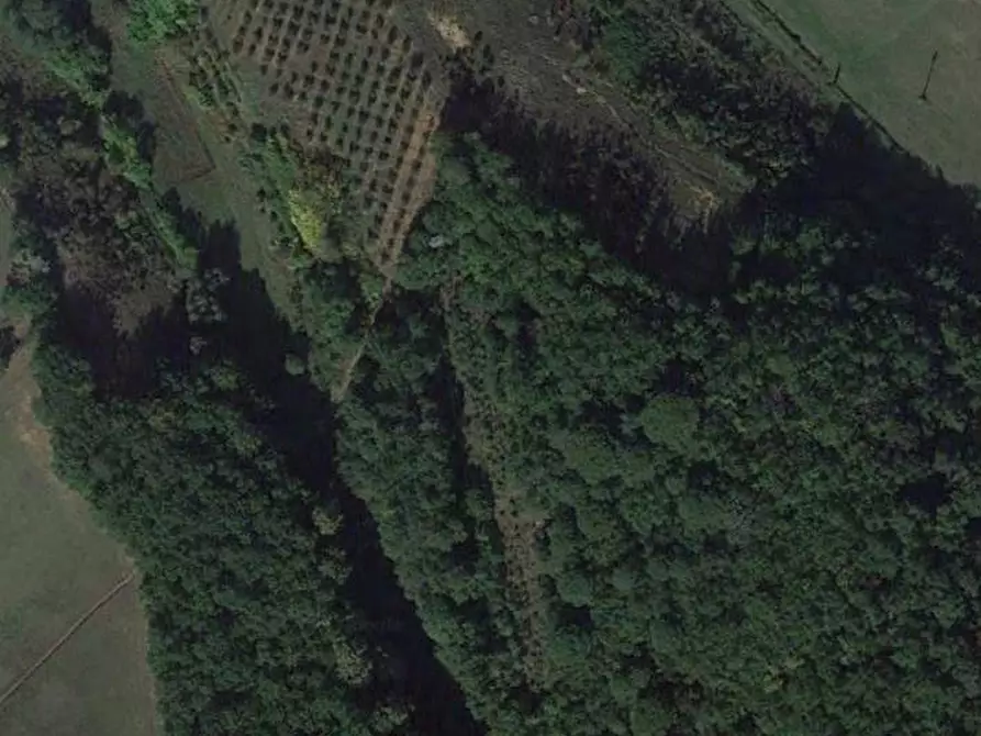 Immagine 1 di Terreno edificabile in vendita  a Poggibonsi