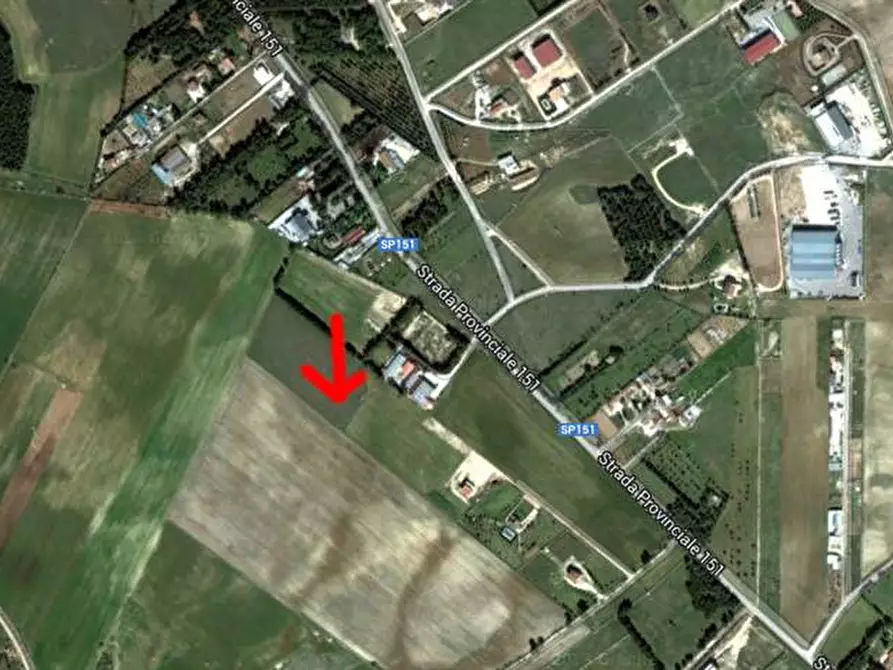 Immagine 1 di Terreno edificabile in vendita  a Altamura
