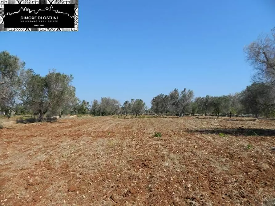 Immagine 1 di Terreno edificabile in vendita  a Carovigno