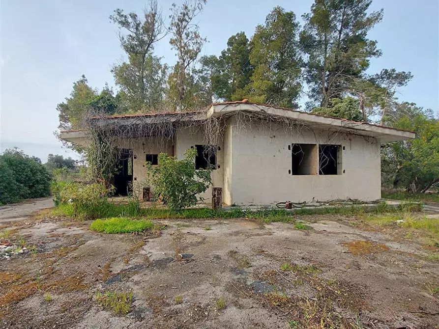 Immagine 1 di Villa in vendita  a Mesagne