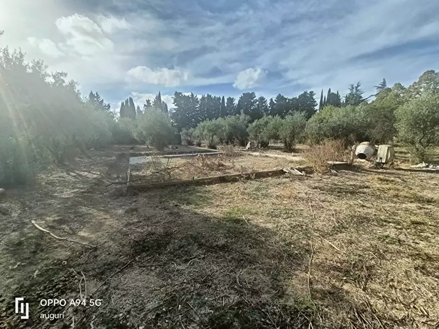 Immagine 1 di Terreno edificabile in vendita  in C.DA NISCIMA a Caltanissetta