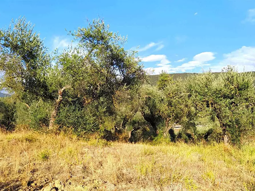 Immagine 1 di Terreno edificabile in vendita  a Cantalupo In Sabina