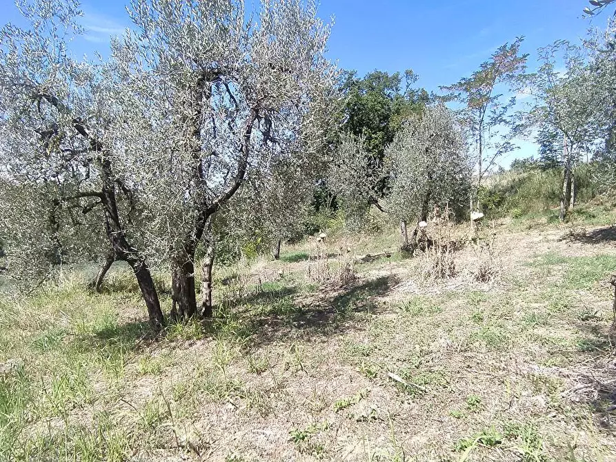 Immagine 1 di Terreno edificabile in vendita  a Forano
