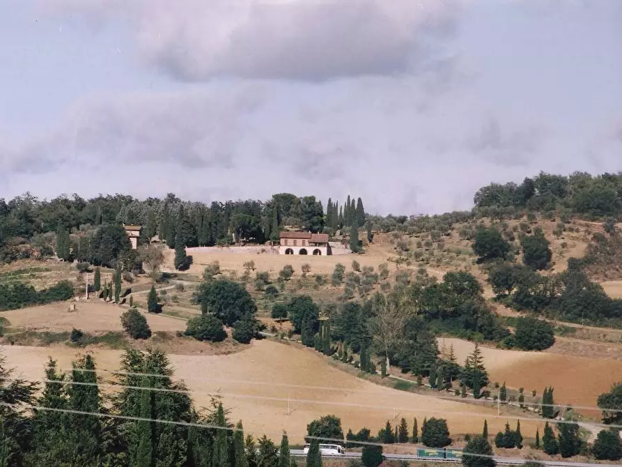 Immagine 1 di Azienda agricola in vendita  in via maltaiolo astrone a Cetona