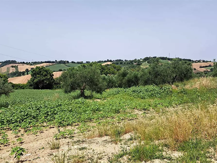 Immagine 1 di Terreno edificabile in vendita  a Senigallia