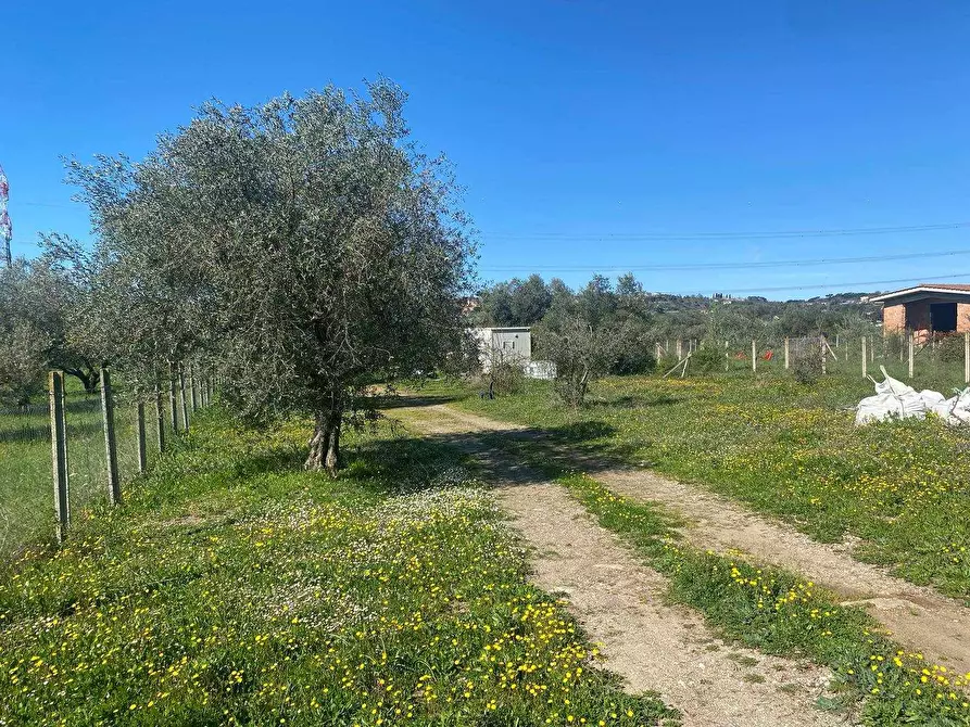 Immagine 1 di Terreno edificabile in vendita  a Fiano Romano