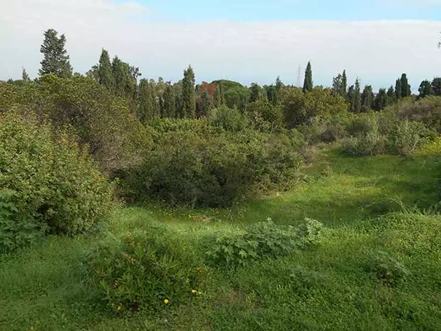 Immagine 1 di Terreno edificabile in vendita  in POGGIO DEI PINI - PAULIARA a Capoterra