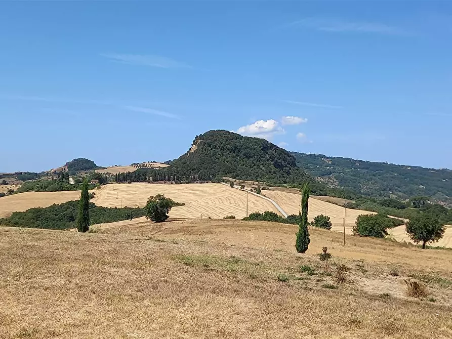 Immagine 1 di Azienda agricola in vendita  a Volterra