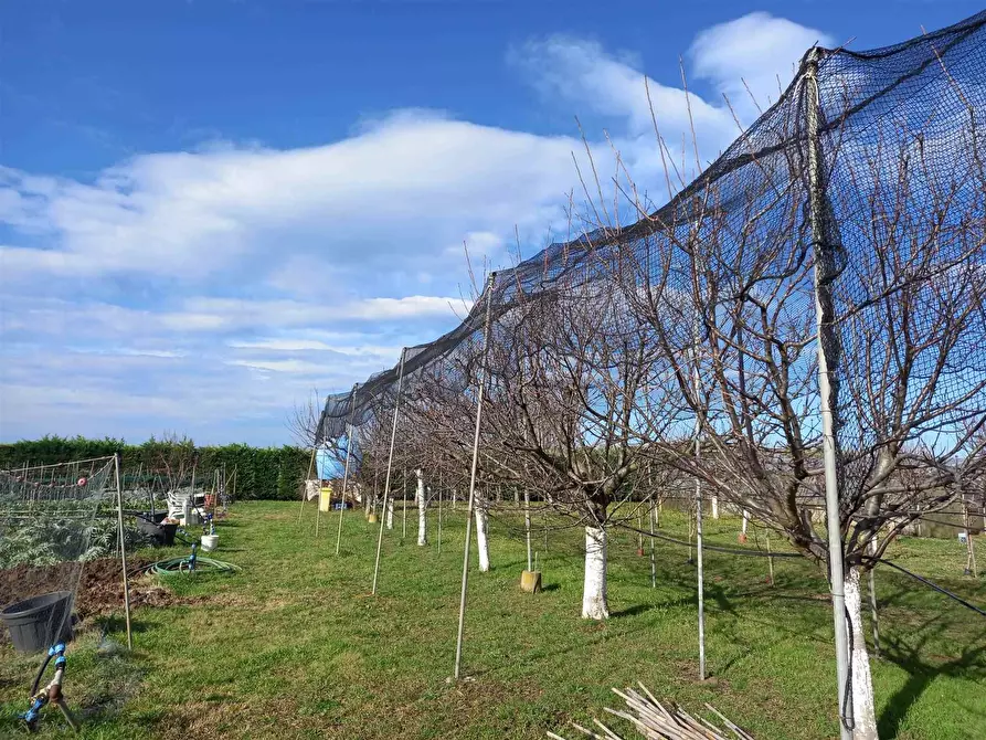 Immagine 1 di Terreno edificabile in vendita  a Rosignano Marittimo