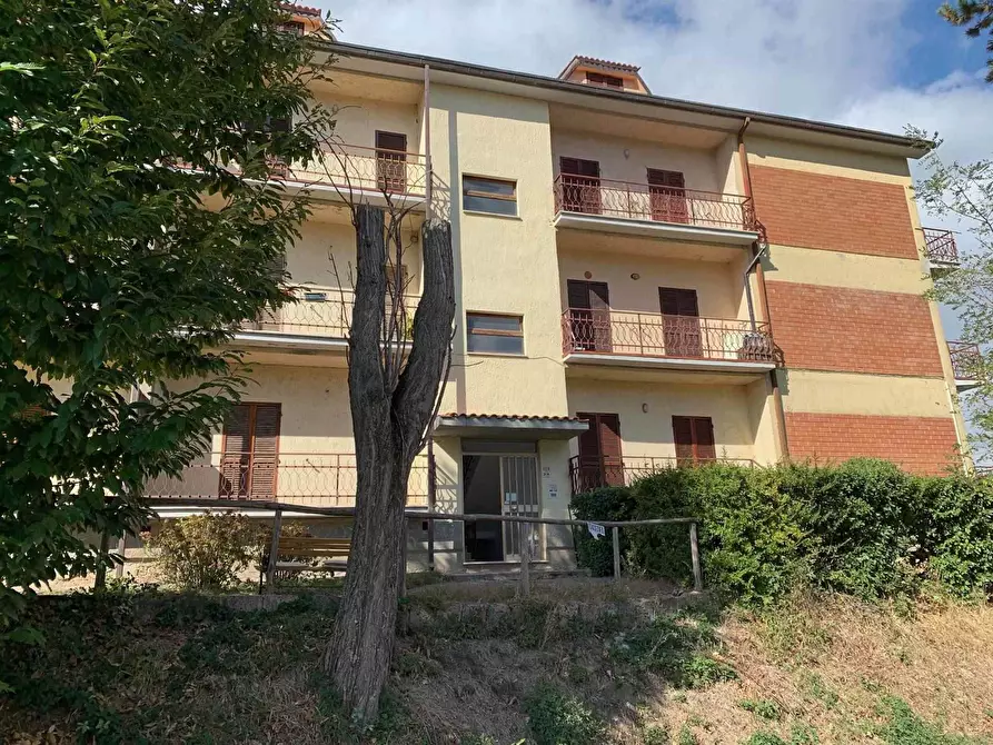 Immagine 1 di Appartamento in vendita  a Seggiano