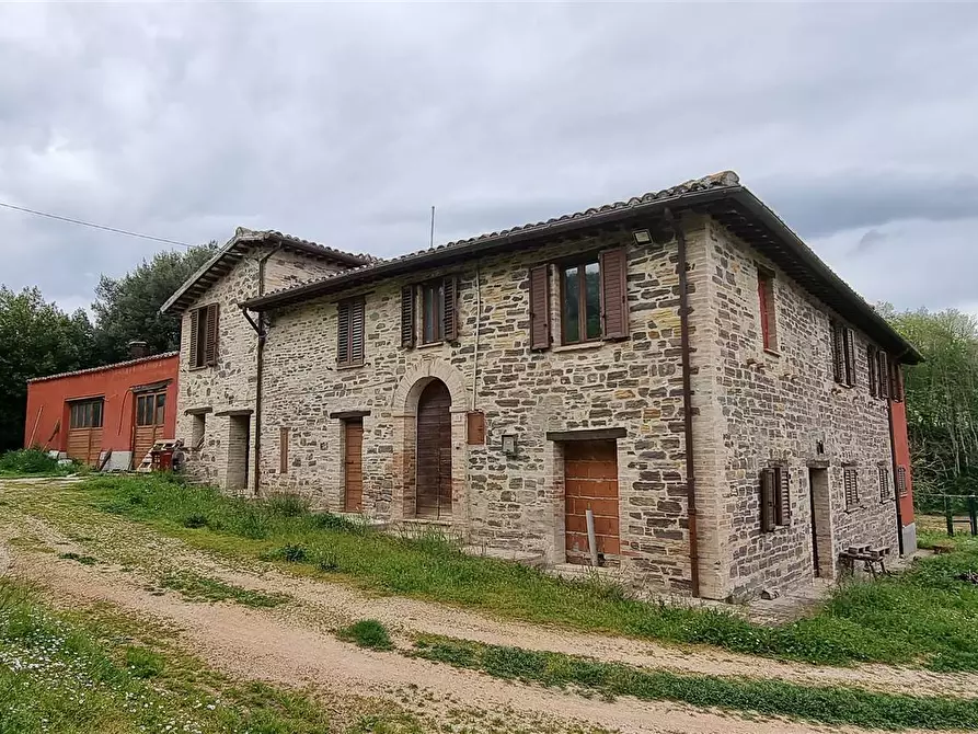 Immagine 1 di Azienda agricola in vendita  a San Severino Marche