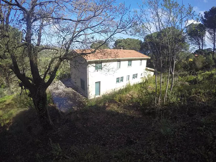 Immagine 1 di Villa in vendita  in C.da carbonara a Cefalu'