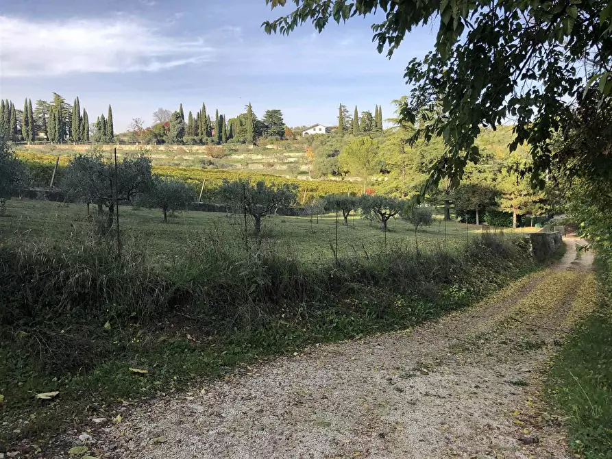 Immagine 1 di Terreno edificabile in vendita  a Verona