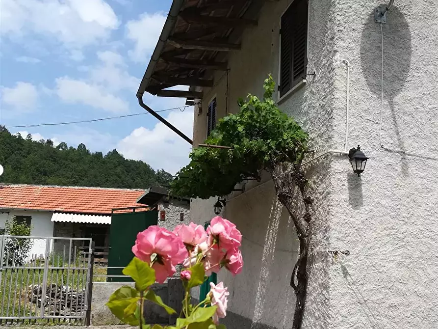 Immagine 1 di Casa indipendente in vendita  in CENTRO a Albera Ligure