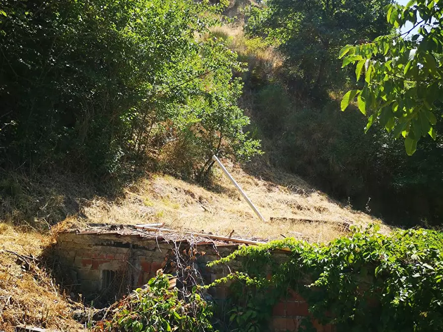 Immagine 1 di Terreno edificabile in vendita  a Terranuova Bracciolini