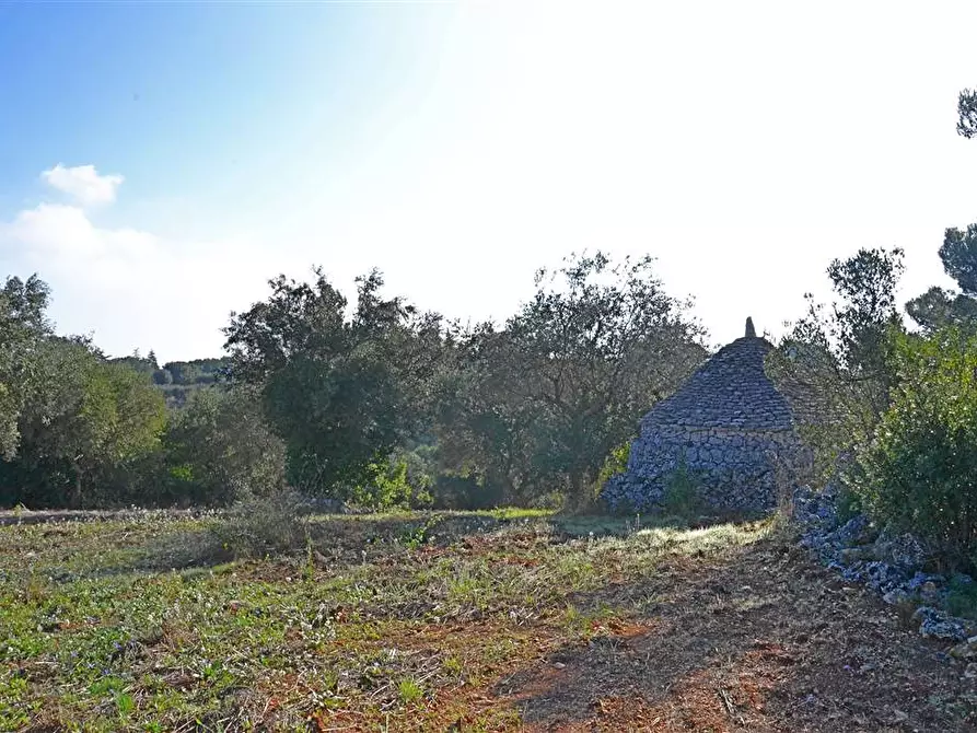 Immagine 1 di Terreno edificabile in vendita  a Putignano