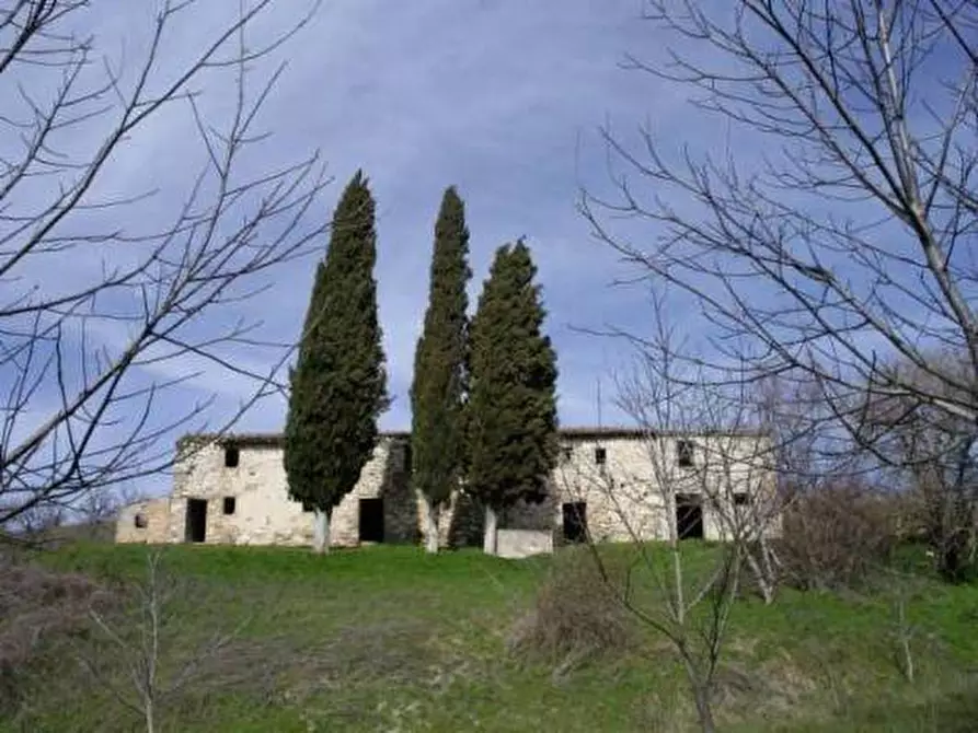 Immagine 1 di Agriturismo in vendita  a San Severino Marche