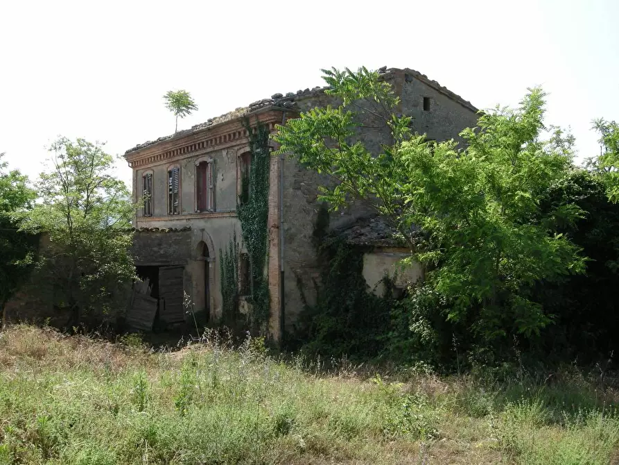 Immagine 1 di Azienda agricola in vendita  a Belforte Del Chienti