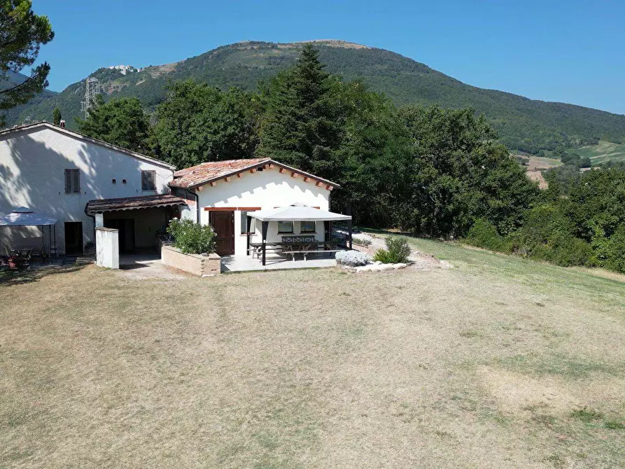 Immagine 1 di Azienda agricola in vendita  a San Severino Marche