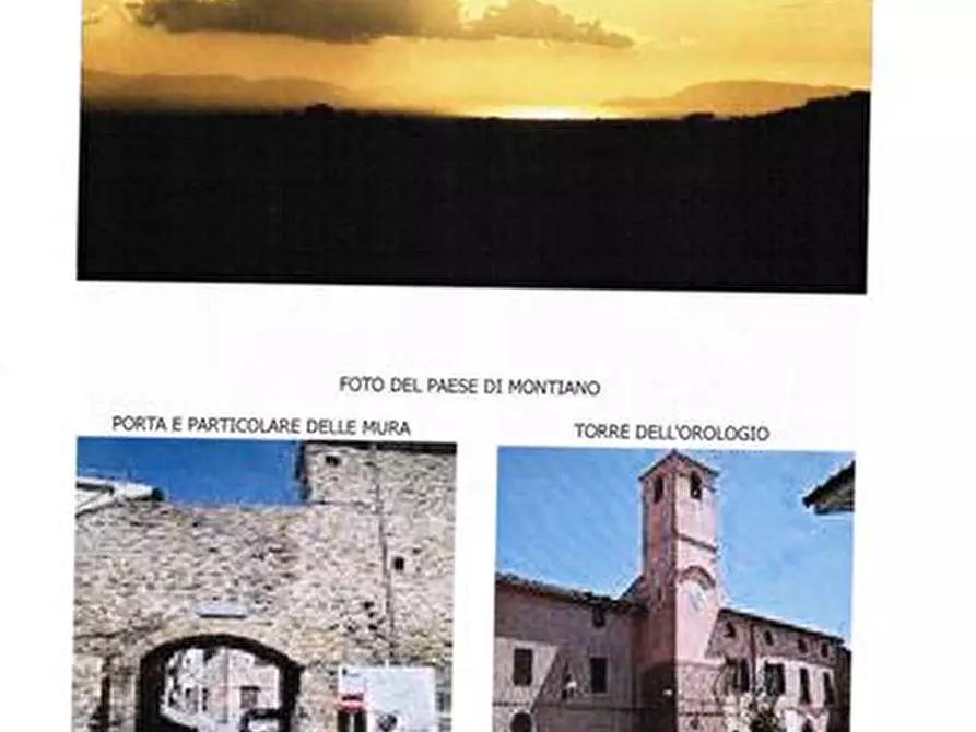 Immagine 1 di Azienda agricola in vendita  a Magliano In Toscana