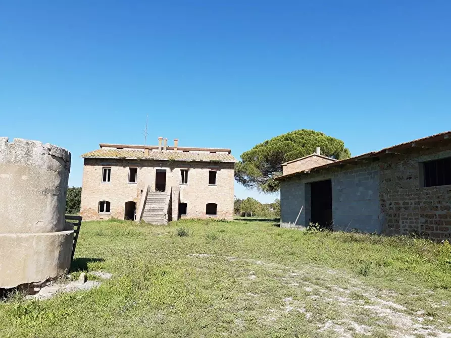 Immagine 1 di Azienda agricola in vendita  a Castiglione Del Lago