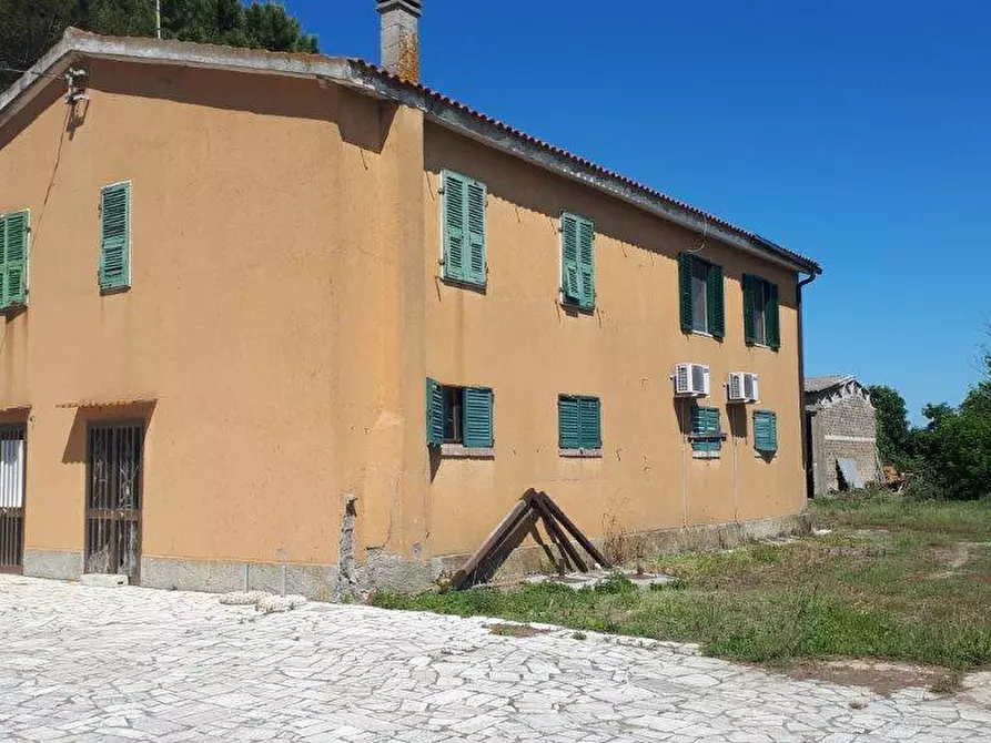 Immagine 1 di Rustico / casale in vendita  a Manciano