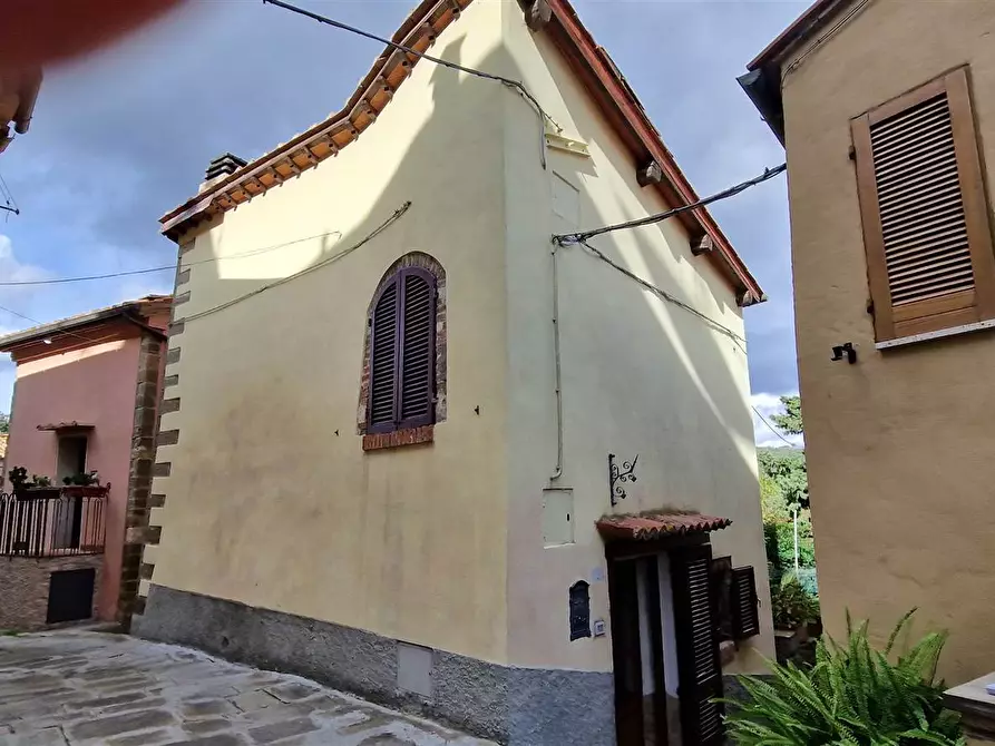 Immagine 1 di Villa in vendita  a Magliano In Toscana