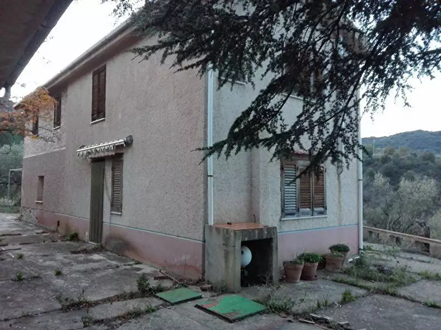 Immagine 1 di Terreno edificabile in vendita  in Contrada Montagna a Altavilla Milicia