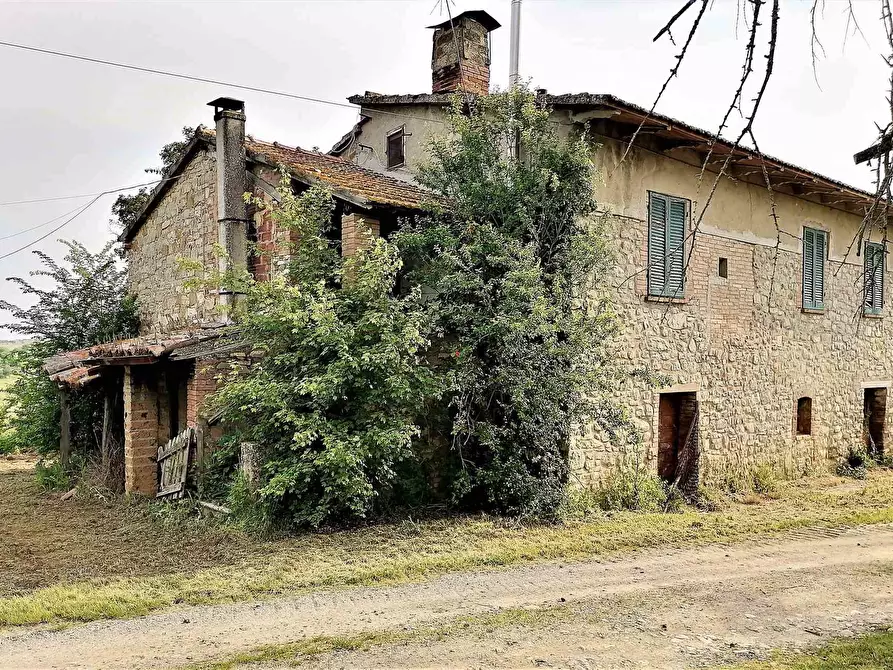 Immagine 1 di Rustico / casale in vendita  a Montegabbione