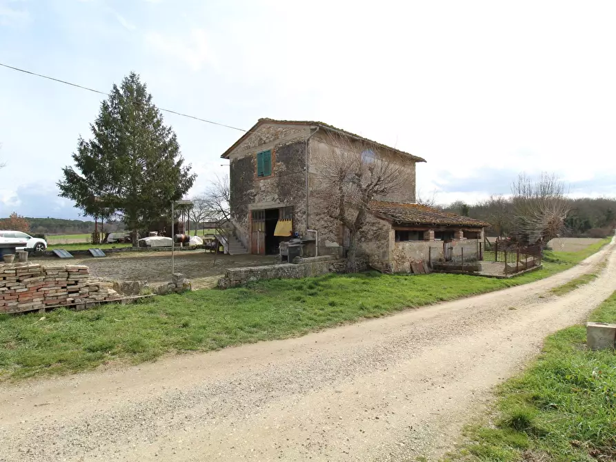 Immagine 1 di Azienda agricola in vendita  a Monteriggioni