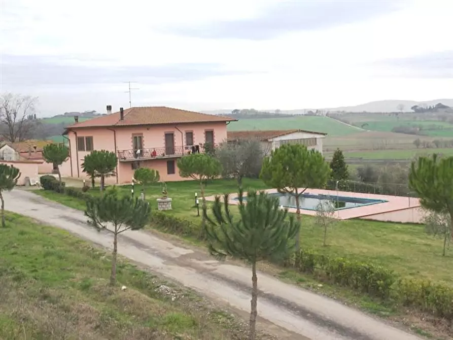 Immagine 1 di Azienda agricola in vendita  a Cortona
