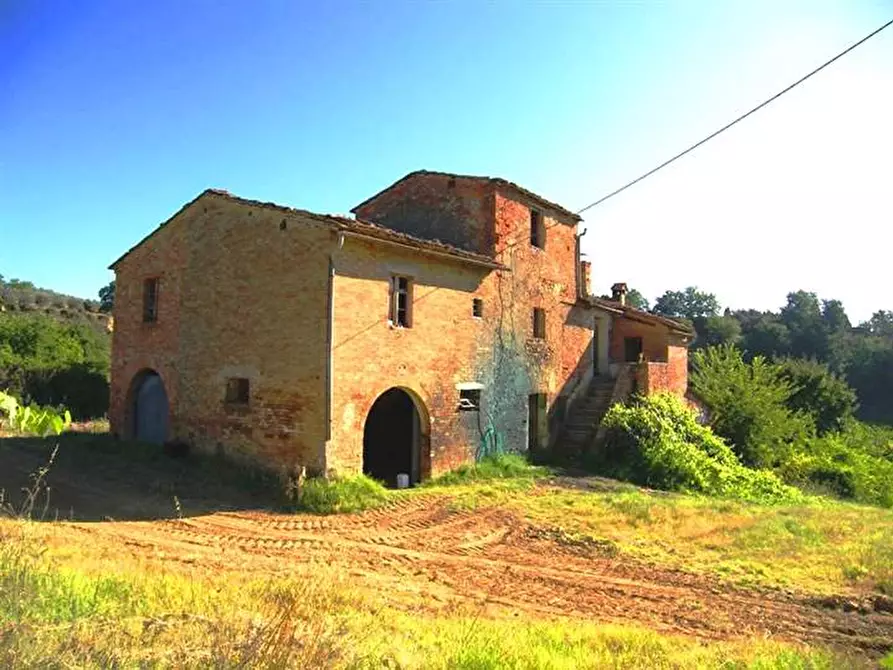 Immagine 1 di Azienda agricola in vendita  a Montepulciano