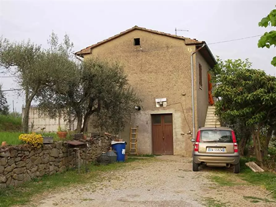 Immagine 1 di Azienda agricola in vendita  a Sinalunga