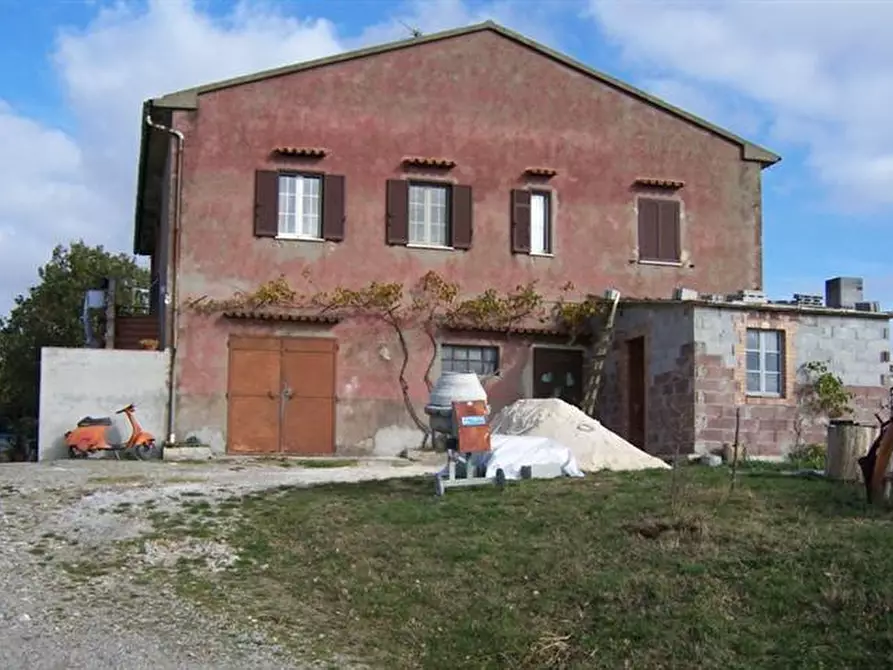 Immagine 1 di Azienda agricola in vendita  a Grosseto