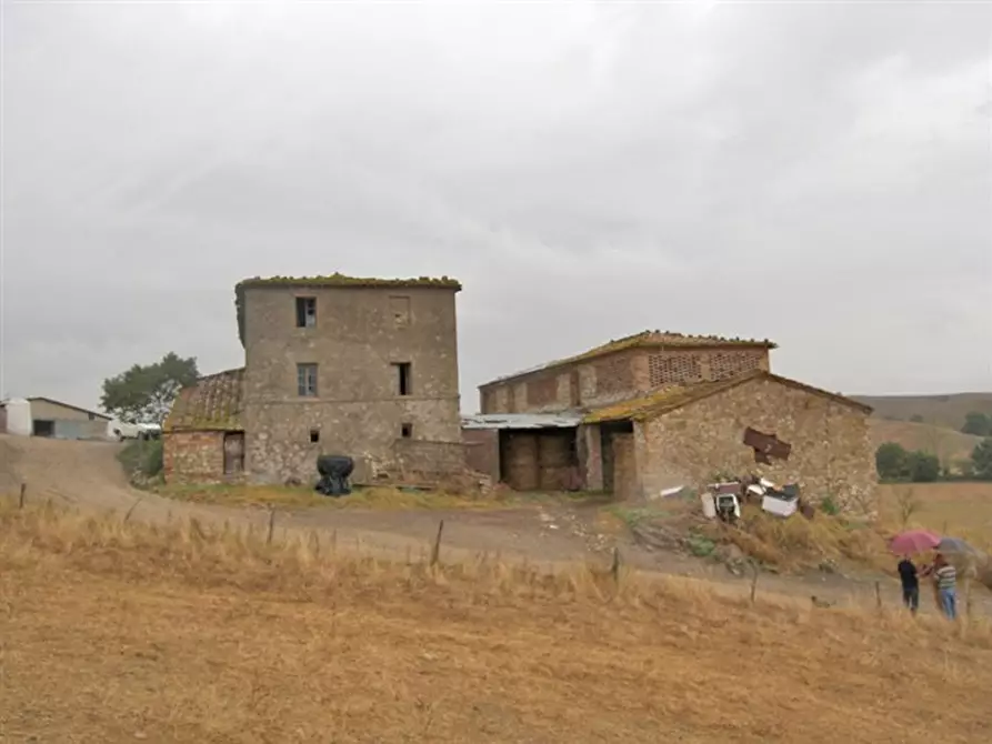 Immagine 1 di Azienda agricola in vendita  a Murlo