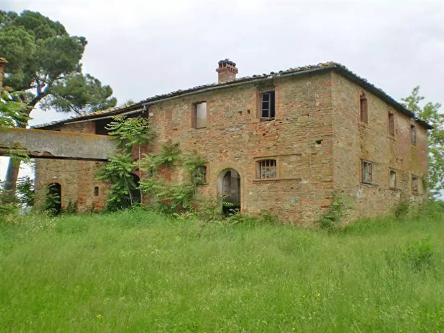 Immagine 1 di Azienda agricola in vendita  a Monte San Savino