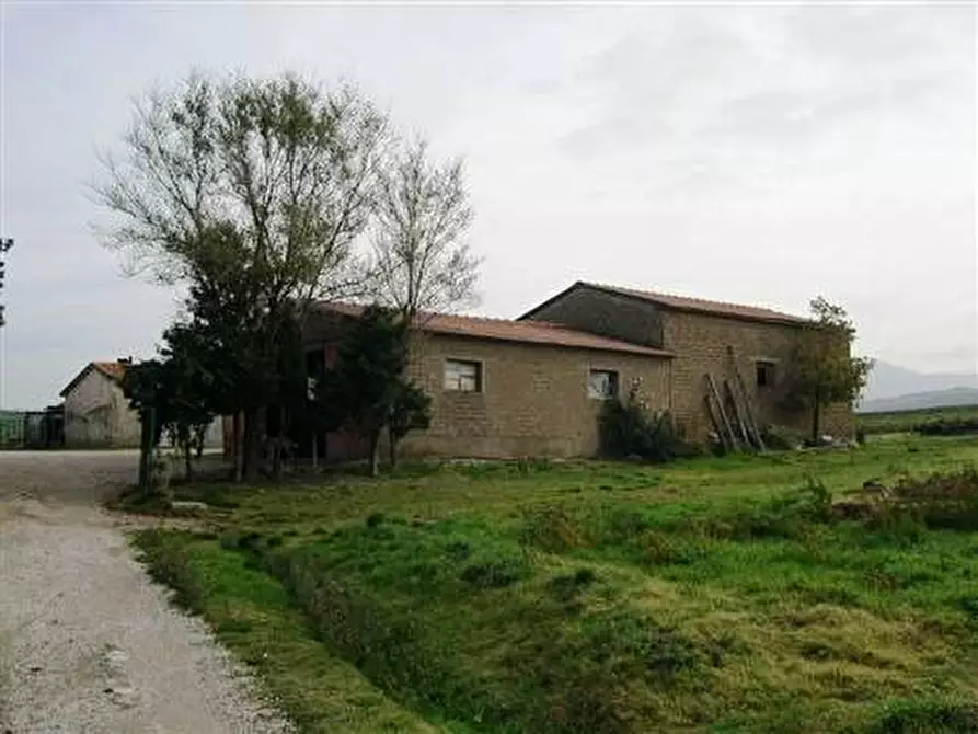 Immagine 1 di Azienda agricola in vendita  a Cinigiano